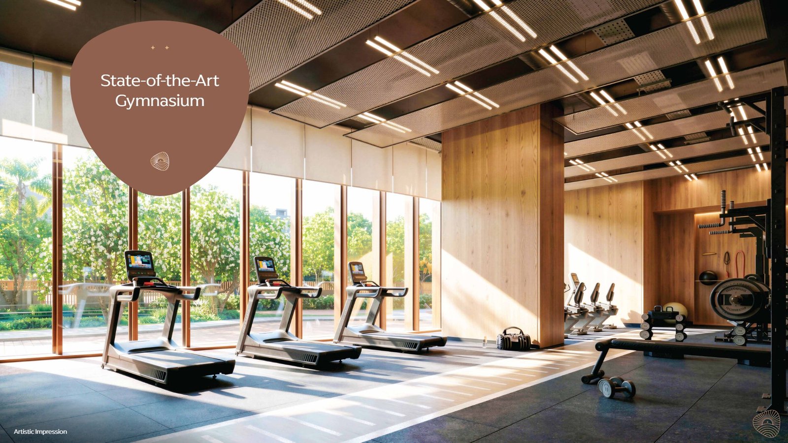 State-of-the-Art Gymnasium